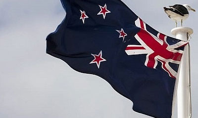 币种百科：RFR是什么币？RFR(Refereum)数字货币详细介绍